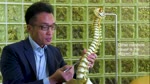 Dr Leslie Ng | Back Pain