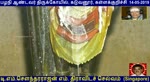 பழநி ஆண்டவர் திருக்கோயில், கடுவனூர், கள்ளக்குறிச்சி 14-05-2019 Song 4