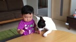 Baby cries when dog takes his rice cracker