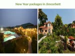 New Year packages in Jimcorbett | New Year Celebrations