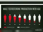What is Testosterone & How Testosterone Hormone Works in Human body? - Forever Leaves