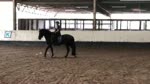 Horse Riding Brisbane