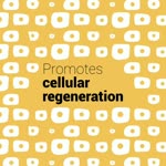 Youth Comes Cellular Regeneration