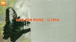 WILD EXPERIENCE AT NHA BEN RUNG - U LESA IN VIETNAM