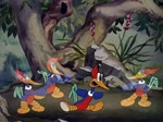 Pica-Pau Biruta - Woody Woodpecker (1941)