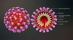Coronavirus: Iceland's mass trying procedures offers the world Covid-19 responses