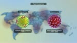 Coronavirus Animation - Coronavirus Outbreak (Covid 19) Explained Through Medical Animation
