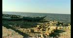Old Fishing Boats Discovered On Ancient Qarun Lake Egypt 