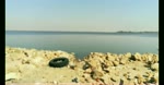 Tourist Capture Oldest Nature Qarun Lake View 