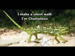 Chameleon 5