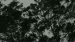 Howling Wind(short film)