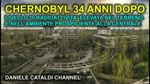 Chernobyl - 34 anni dopo ancora vengono rilevati livelli di radioattivit ambientale