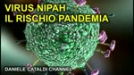 Virus Nipah - Rischio Nuova Pandemia