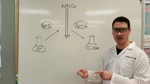Chem 30 Lab B.01 - Redox Titration of Hydrogen Peroxide