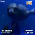 T. M. Soundararajan Legend Song 992 