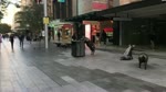Trip to Rundle Mall & Hindley street (Adelaide City in South Australia) AMIT DAHIYA TRAVEL VIDEOS