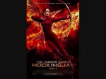 The Hunger Games: Mockingjay - Part 2 Review