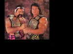 Steiner Brothers The Pride Of Michigan