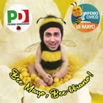 Bee Mayo - Crazy