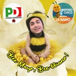 Bee Mayo - Life goes on