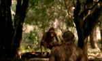 C... entre las B...04 - Australopithecus En Familia-