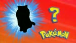 Who's that Pokemon? It's my pet Persian cat