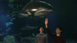 Tiburones en el cielo Documental