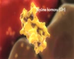 Akromegali - Bolum 2