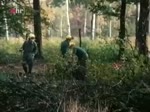 Tatort Folge 085: Zürcher Früchte (1978)