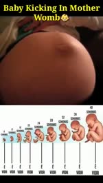 Baby Kicking In Mother Womb