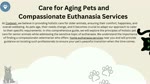  Embracing Holistic Care for Aging Pets and Compassionate Euthanasia Services