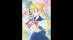 Tracy Moore Sailor Moon voice clips 