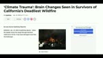 MAUI FIRE BRAIN SYNDROME! 100% CONFIRMATION THAT MAUI WAS HIT WITH A D.E.W.