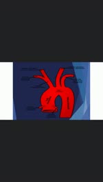 La gran aorta