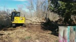 Cat 306 pushing tree over