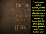 Impressionen unserer BİBEL _ Buch Hesekiel Kap 17_min16  "..ich will auch vom ZEDERN des Libanon.."
