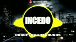  Spektrem - Shine | Progressive House | INCEDO - Copyright Free Music 