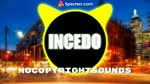 Electro Light feat. Sidekicks - Hold On To Me _ INCEDO Release_.mp3