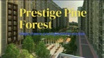 Prestige Pine Forest 