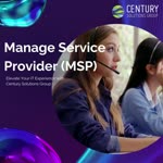 Managed Service Provider(MSP)