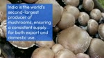 Why is exporting Indian mushrooms a lucrative option for traders?