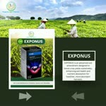 Exponus: Empowering Indian Farmers through Technological Innovation