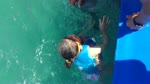 hulya duru gunduz swim with dolphin